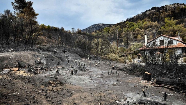 IMG-19c25306489770a636fd87f994dc2fd4-V