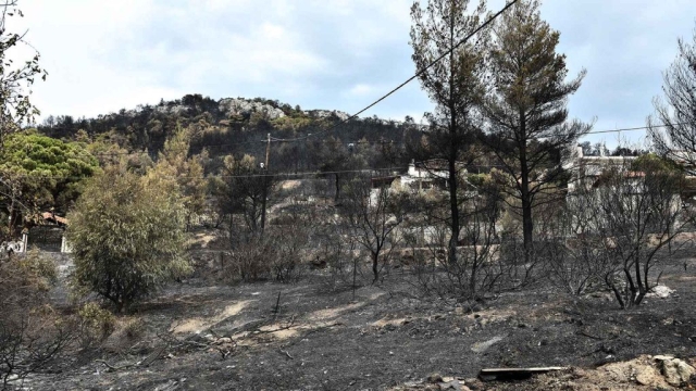 IMG-47b1909223e791e333a51bd8558cfb54-V