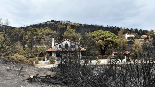 IMG-54e14e9f7eaf709a3ce5675d63c7a9fa-V