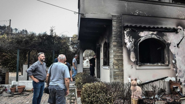 IMG-6c432ef8623e43281e84a93d07846987-V