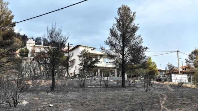 IMG-6f847cc2478413159e171c562cb93a54-V