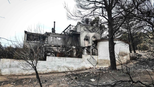 IMG-81e085089d0c72cd7872032767e44c97-V