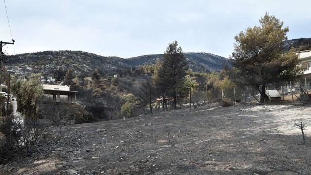 IMG-8afb6e49f954826da9a7284f1c5e89bd-V