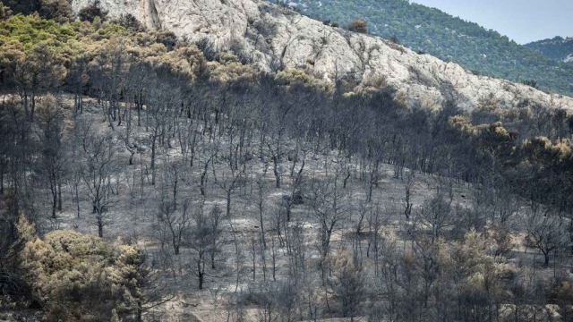 IMG-954974e8997c97e3e944179c4ebe1f11-V