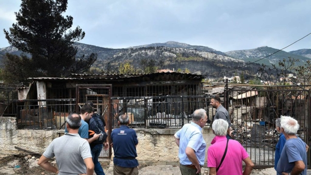 IMG-a08231e46771262c625f07eeff0d980b-V