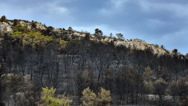 IMG-b3e2a479a5450458dc553088f3eb86e0-V