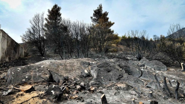 IMG-d64b6ecc78c0e91778f35bf316a5eb6a-V